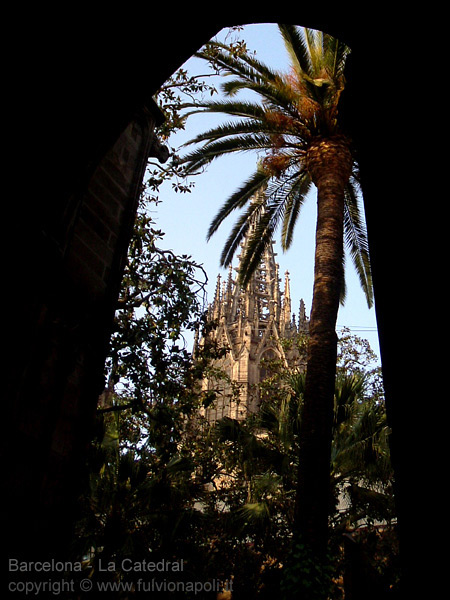 Catedral de la Santa Creu - BARCELONA